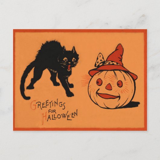 Zwarte Kat Jack O Lantern Pompoen Heksenhoed Briefkaart (Voorkant)
