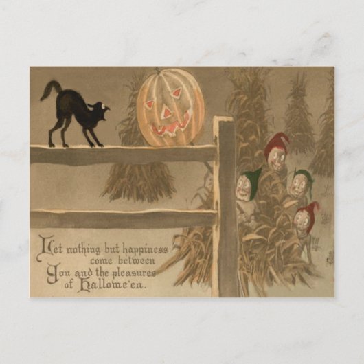 Zwarte Kat Jack O Lantern Pompoen Hooihoop Briefkaart (Voorkant)