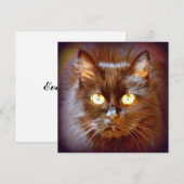 zwarte kat kaart (Voorkant / Achterkant)