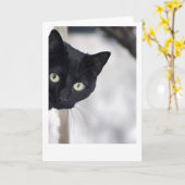Zwarte kat kaart (Gele Bloem)