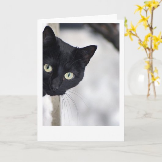 Zwarte kat kaart (Gele Bloem)