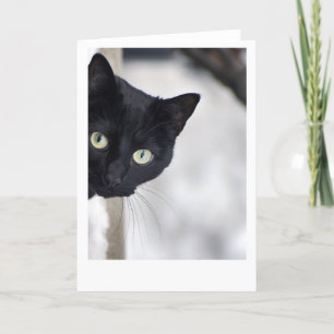 Zwarte kat kaart