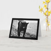 "Zwarte Kat " Kaart (Gele Bloem)