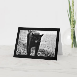 "Zwarte Kat " Kaart