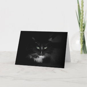 Zwarte kat kaart
