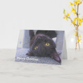 Zwarte Kat Kaart (Gele Bloem)