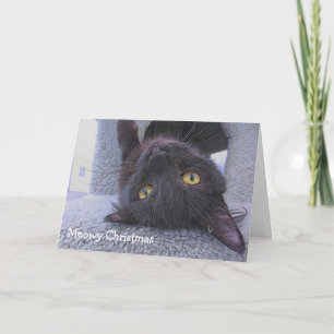 Zwarte Kat Kaart