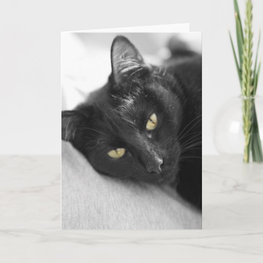 Zwarte kat kaart (Voorkant)