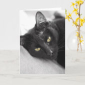Zwarte kat kaart (Gele Bloem)
