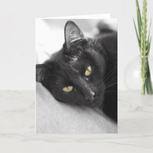 Zwarte kat kaart