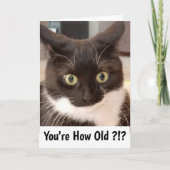 Zwarte Kat Kaart (Voorkant)