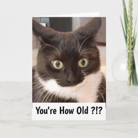 Zwarte Kat Kaart (Voorkant)