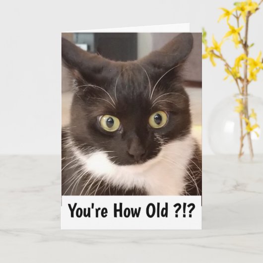 Zwarte Kat Kaart (Gele Bloem)