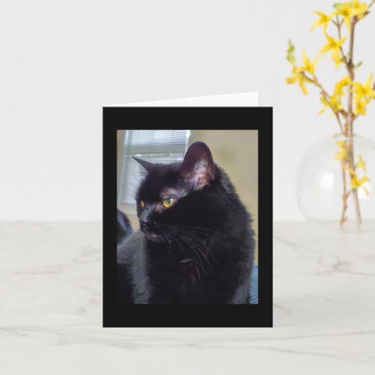 Zwarte kat kaart (Gele Bloem)