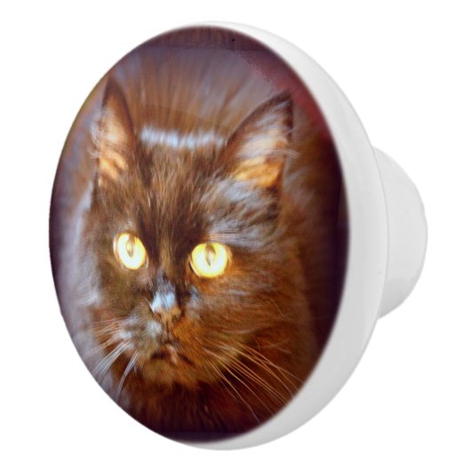 zwarte kat keramische knop (Rechts)