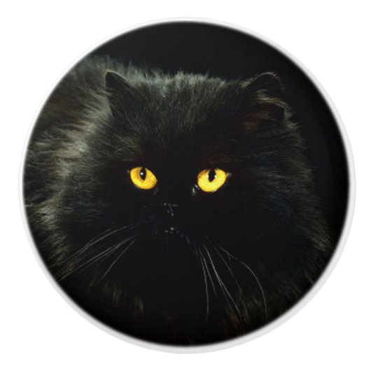 Zwarte kat keramische knop (Voorkant)