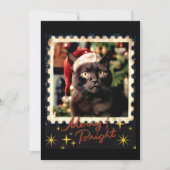 Zwarte kat kerst feestdagenkaart (Voorkant)