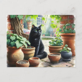 Zwarte Kat Kijkt naar Kattenkruid dat Groeit Schat Briefkaart