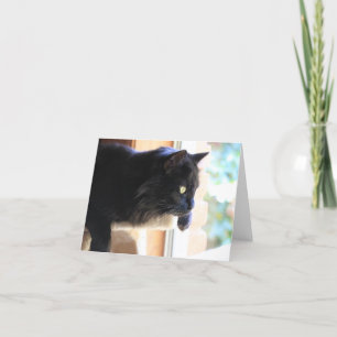 Zwarte kat kijkt uit het raam, leeg van binnen kaart