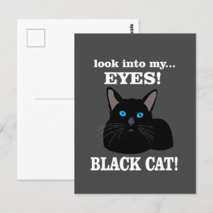 Zwarte Kat Kitty Dierenliefhebber Zwarte Kat Briefkaart
