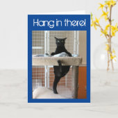 Zwarte Kat Klampt zich vast aan Kattenboom Kaart (Gele Bloem)