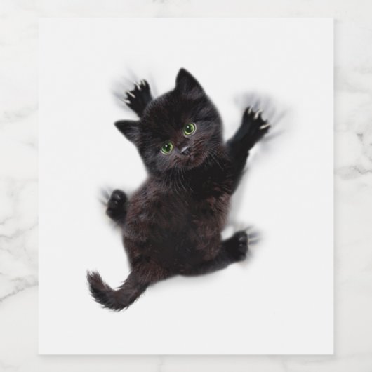 Zwarte kat klimmen op menselijke rug wijn etiket (Enkel label)