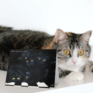 Zwarte Kat Knuffel Stapels Poezen Schattig Kaart