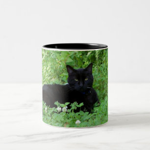 Zwarte Kat Kopje Tweekleurige Koffiemok