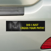 Zwarte Kat kruiste je pad Bumpersticker (Op auto)