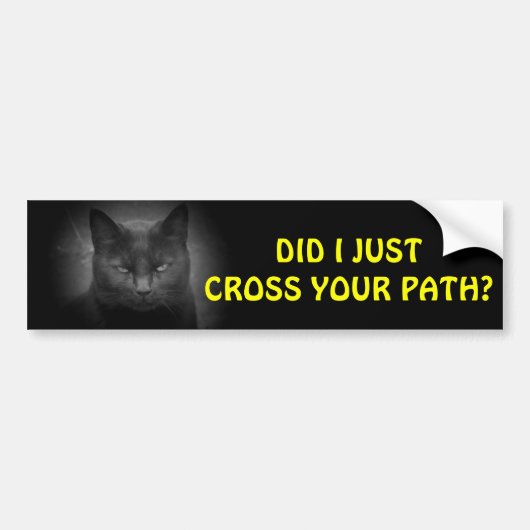 Zwarte Kat kruiste je pad Bumpersticker (Voorkant)