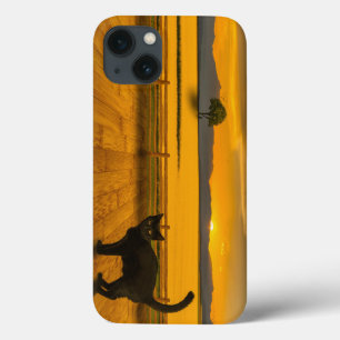 Zwarte kat landschap Case-Mate iPhone case