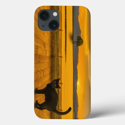 Zwarte kat landschap Case-Mate iPhone case (Achterkant)