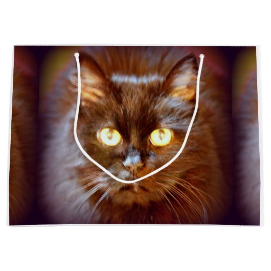 zwarte kat large cadeautasje (Voorkant)