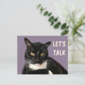 Zwarte kat, laten we praten briefkaart (Staand voorkant)
