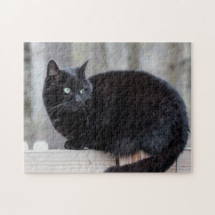 Zwarte kat legpuzzel