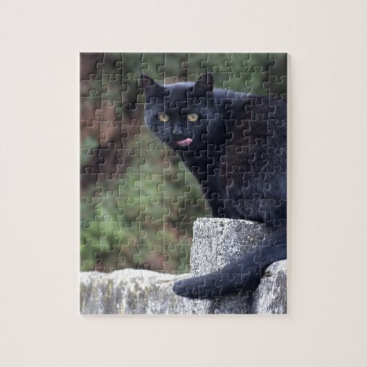 Zwarte kat legpuzzel (Verticaal)