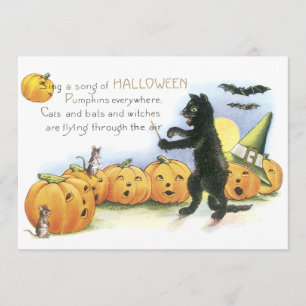 Zwarte Kat Leidt Jack O' Lantern Halloween Koor Kaart