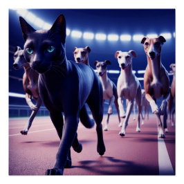 Zwarte kat leidt roedel honden op hondenbaan perfect poster