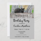  zwarte kat-logfoto Birthday Kaart (Voorkant)