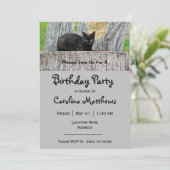  zwarte kat-logfoto Birthday Kaart (Staand voorkant)