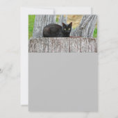 zwarte kat-logfoto Birthday Kaart (Achterkant)