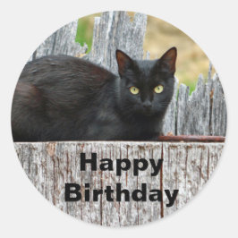  zwarte kat-logfoto Birthday Ronde Sticker