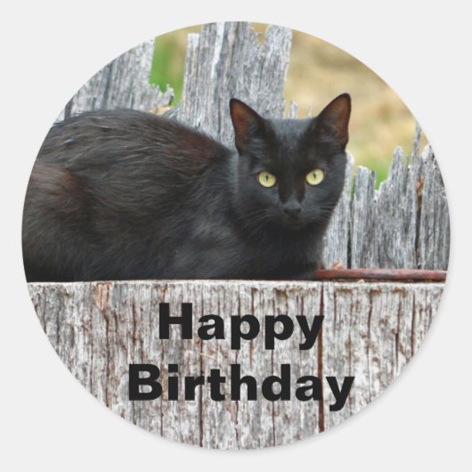  zwarte kat-logfoto Birthday Ronde Sticker (Voorkant)