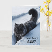 Zwarte kat loopt in diepe sneeuw kaart (Gele Bloem)