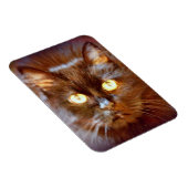 zwarte kat magneet (Rechterzijde)