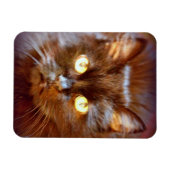 zwarte kat magneet (Horizontaal)