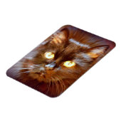 zwarte kat magneet (Linkerzijde)