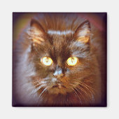 zwarte kat magneet (Voorkant)