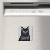 Zwarte kat magneet (Insitu (Vaatwasser))