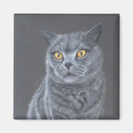 Zwarte kat magneet